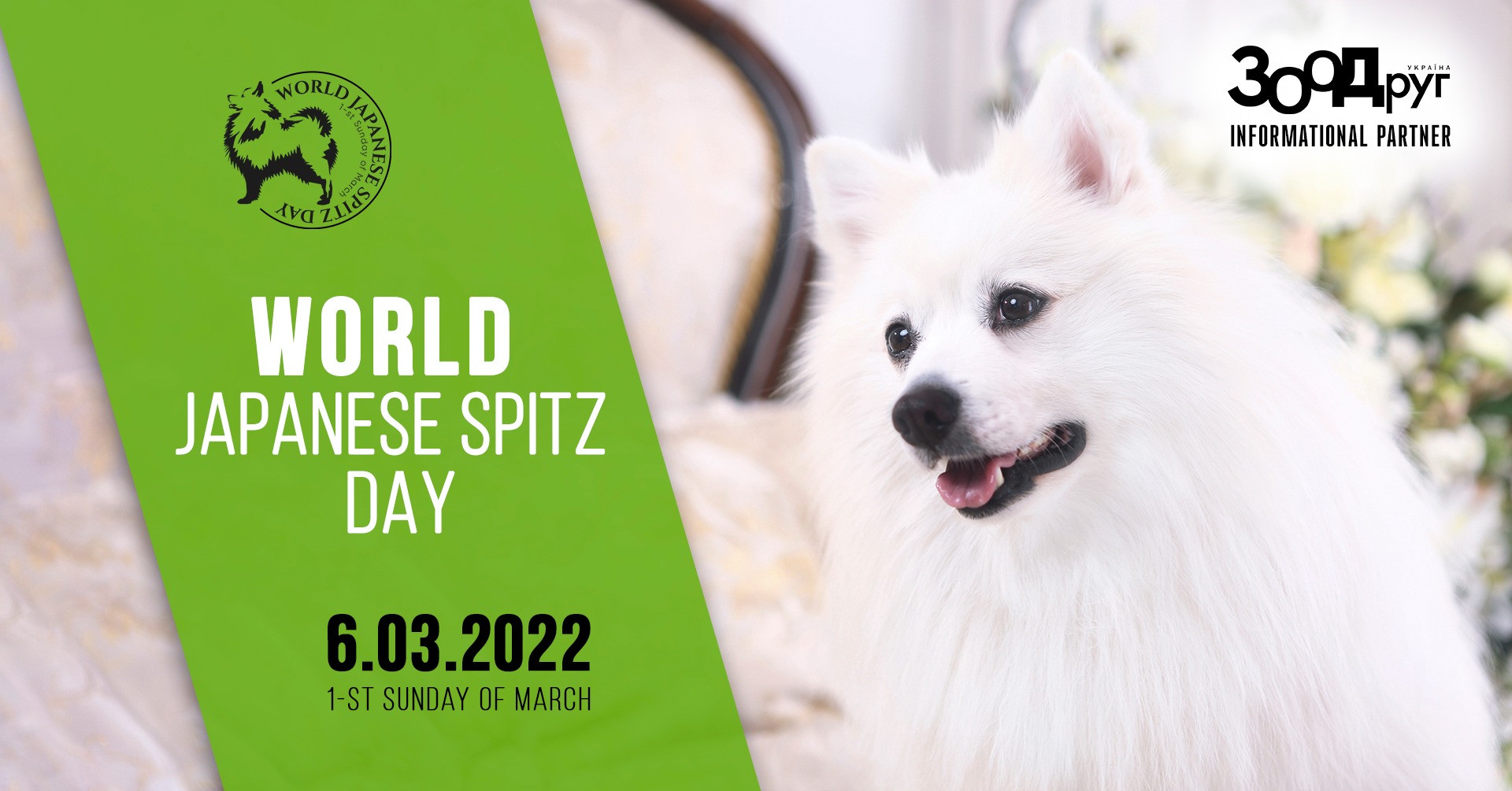 World Japanese Spitz Day 2022